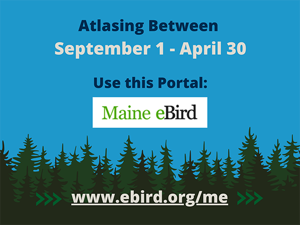 Atlasing between September 1 - April 30, use this portal.